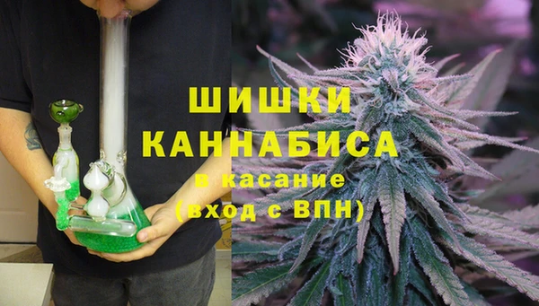 PSILOCYBIN Алексин