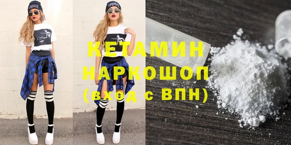 шишки Елизово