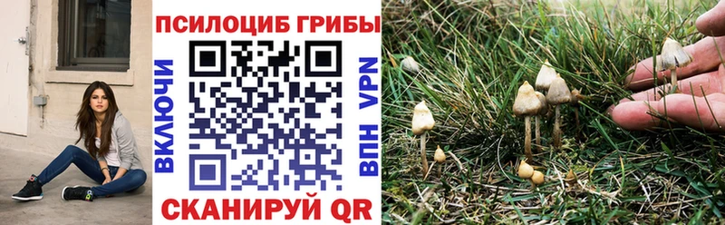 продажа наркотиков  Карабаш  Галлюциногенные грибы прущие грибы 